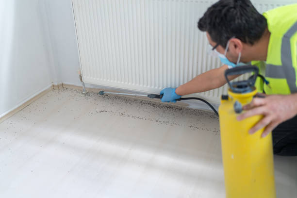 Best Best Pest Control Near Me  in Clarinda, IA